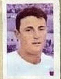 95 Pepín