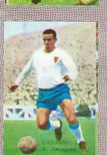 Canario