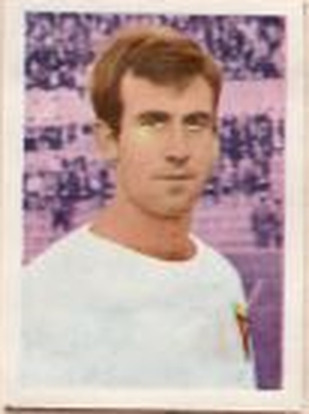 102 Lapetra