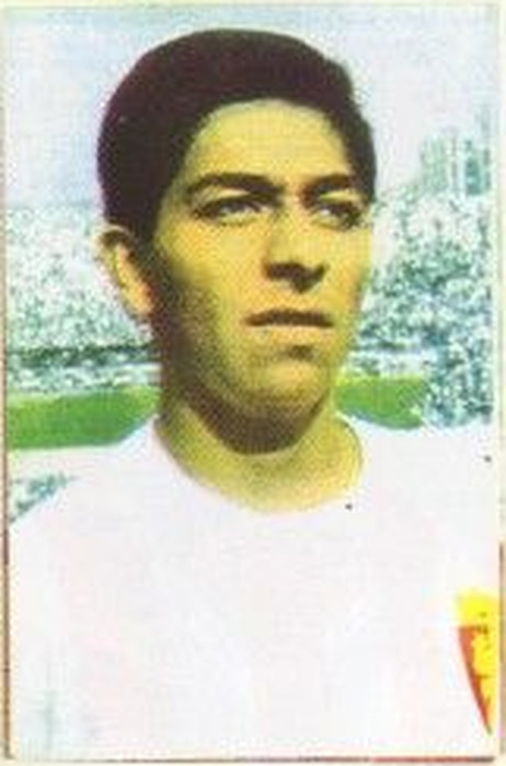 93 Sigi