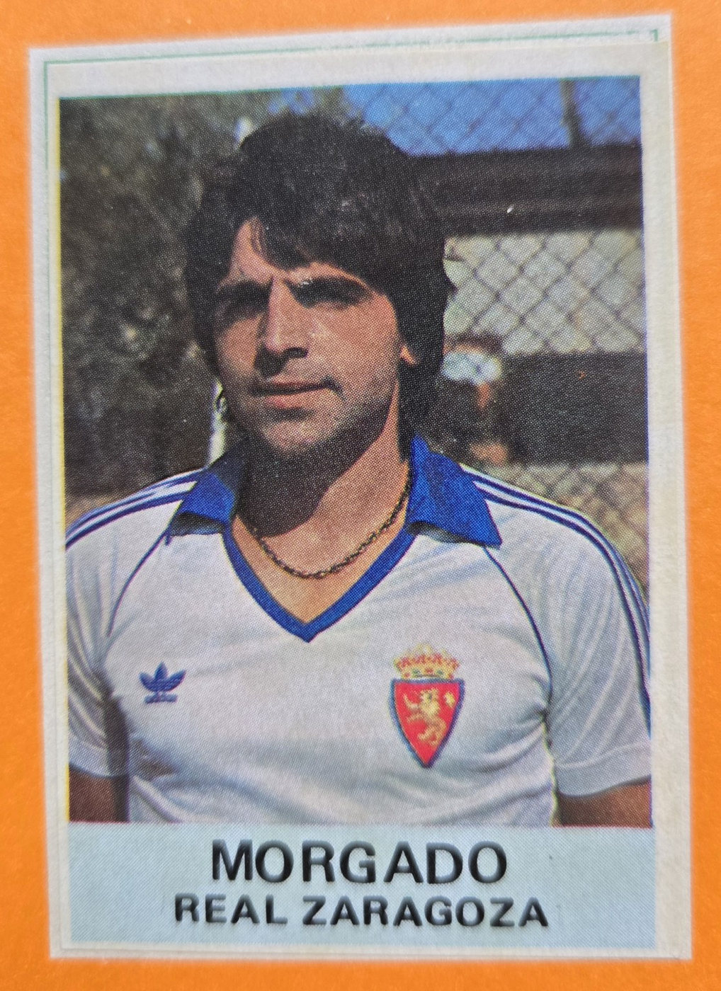 Morgado