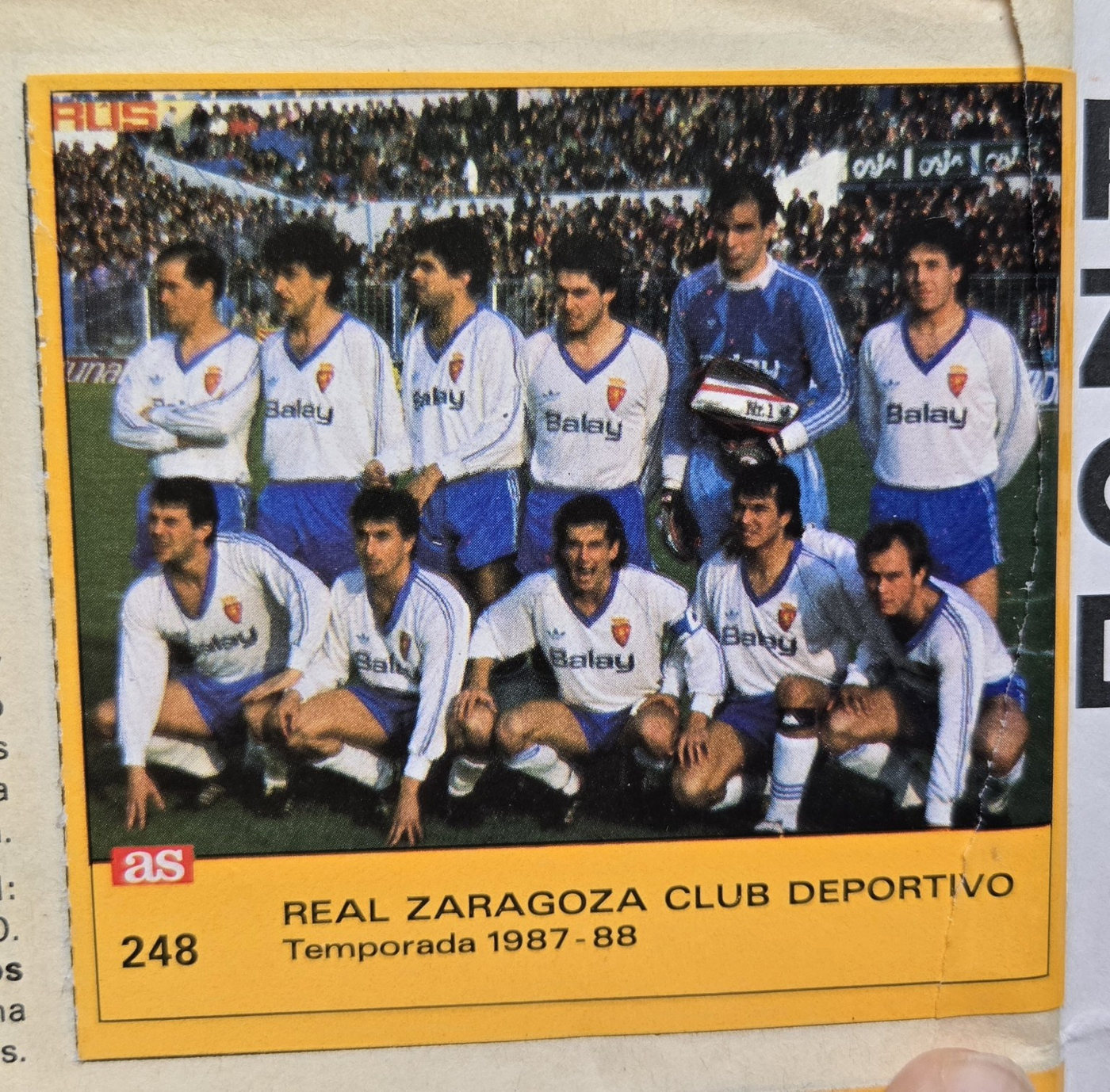 248 Equipo